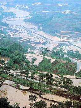 Sichuan Farmland