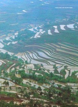 Sichuan Farmland