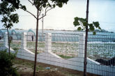 Greenhouses