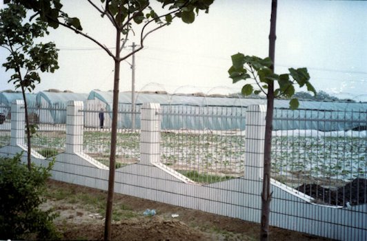 Greenhouses