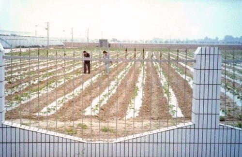 plastic farming