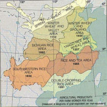 Agricultural Production per Farm Worker