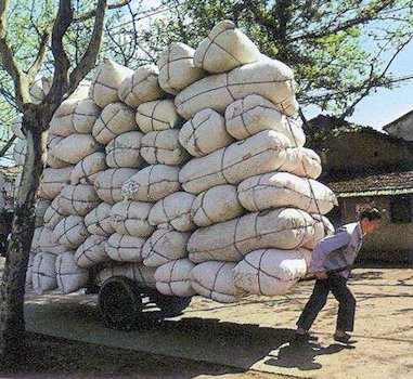 Silk Cocoons go off to the Market