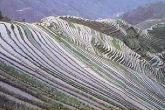 Agricultural Terraces