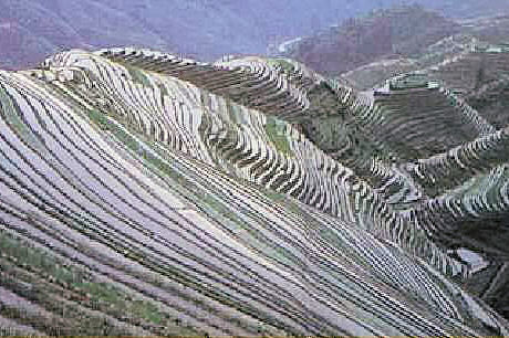 Terracing In China