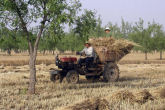 Bringing in the Sheaves