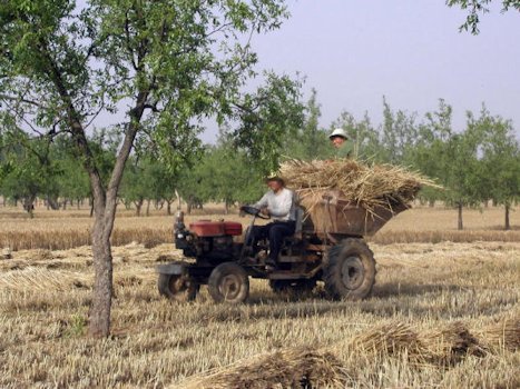 Bringing in the Sheaves