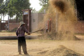 Winnowing the Wheat