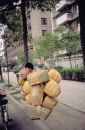 Basket Seller