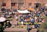 Street Fruit Vendors