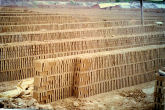 Bricks Drying