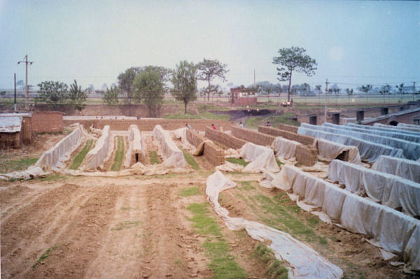 Rain Protection for Bricks