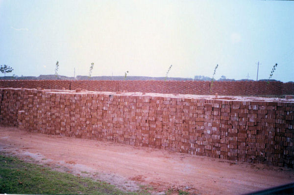 Fired Bricks