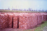 Fired Bricks