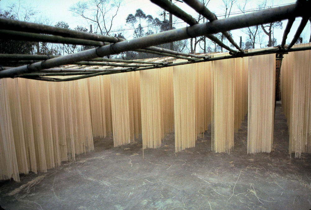 Chinese Noodle Factory