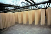 Drying Noodles