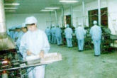 Pharmaceutical Factory