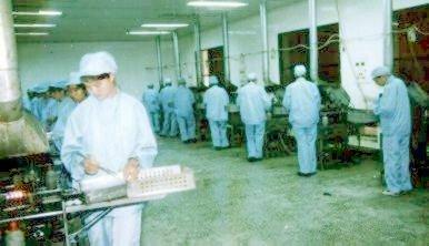 Pharmaceutical Factory