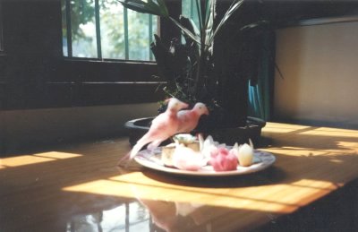 Carved Doves from a Radish