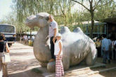 To the Ming Tombs