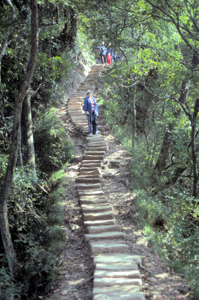 Bernice Climbs with Two Students