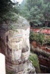 The Great Buddha's Head