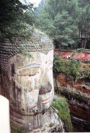 Buddha's Head