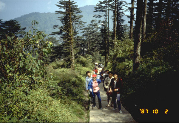 Bernice Climbing to the Top of Mount Emei