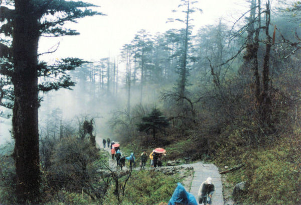 Stone Path to the Top of Mount Emei