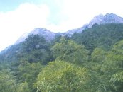 Huangshan Green Slopes