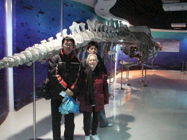 Whale Exhibit