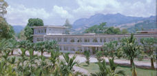 Institute of Tropical Botany