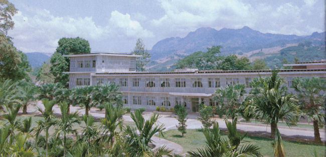  Chinese National Academy of Sciences Tropical Botany Institute