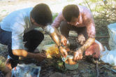 Marinating the Pork