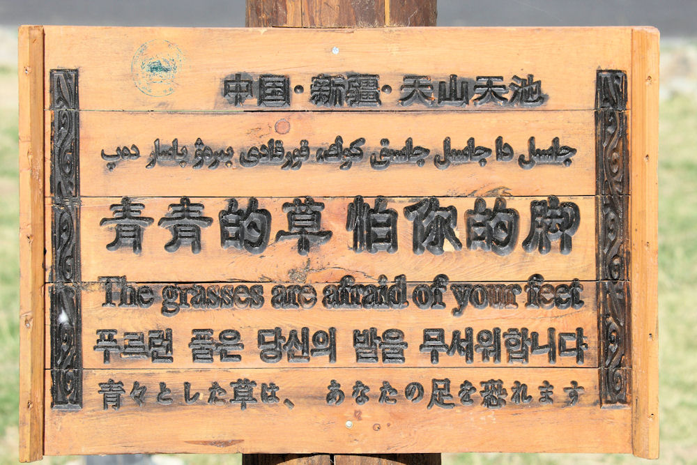 Interesting Signs Found in  China