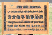 Interesting Signs Found in China 20