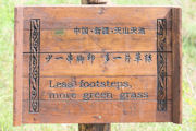 Interesting Signs Found in China 22