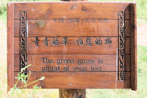 Interesting Signs Found in  China
