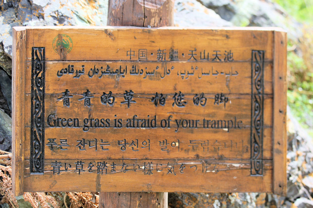 Interesting Signs Found in  China