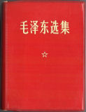 My Red Book 1