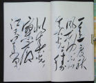 Mao Poetry Page