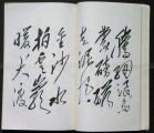 Mao Poetry Page