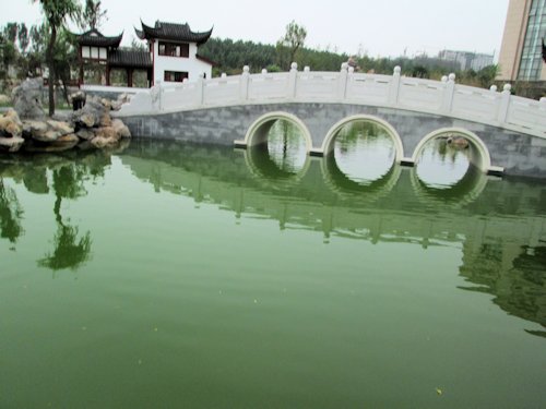 Artistic Pond and Bridge - Scene 7