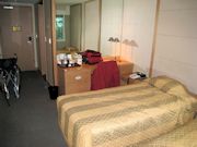 Seoul Airport Hotel Layover Photo 4