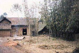 Peasant House in Countryside