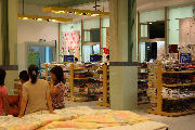 Showroom - 50