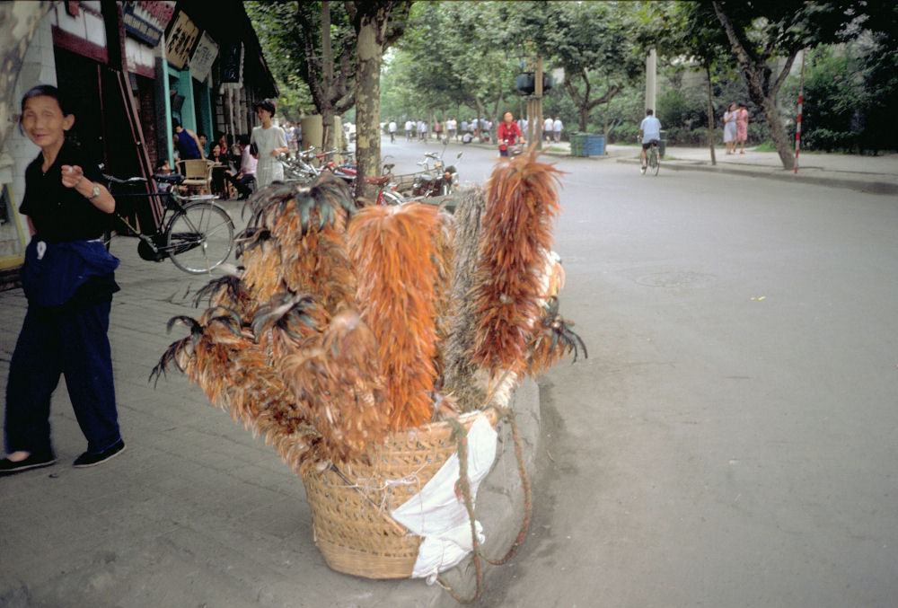 Chengdu China