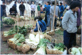 Vegetable Market