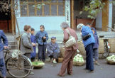 Vegetable Hunt