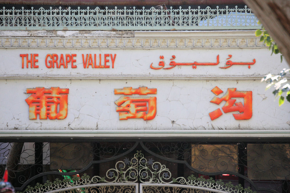 Grape Valley near Turpan, Xinjiang China